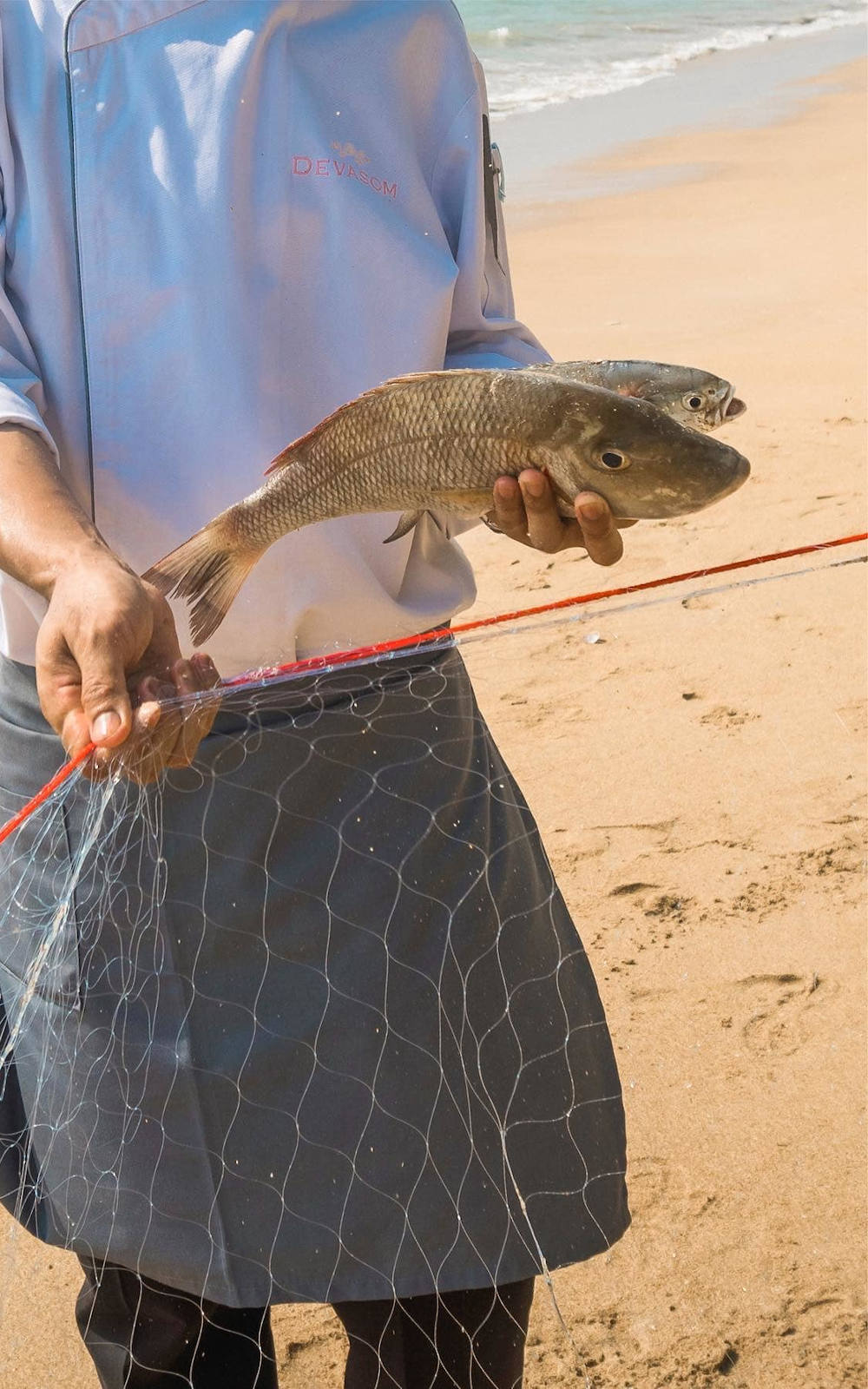 Locally sourced seafood Khao Lak