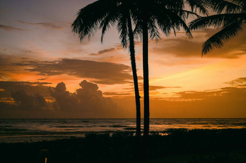 Sunset from Devasom Khao Lak with palm tree